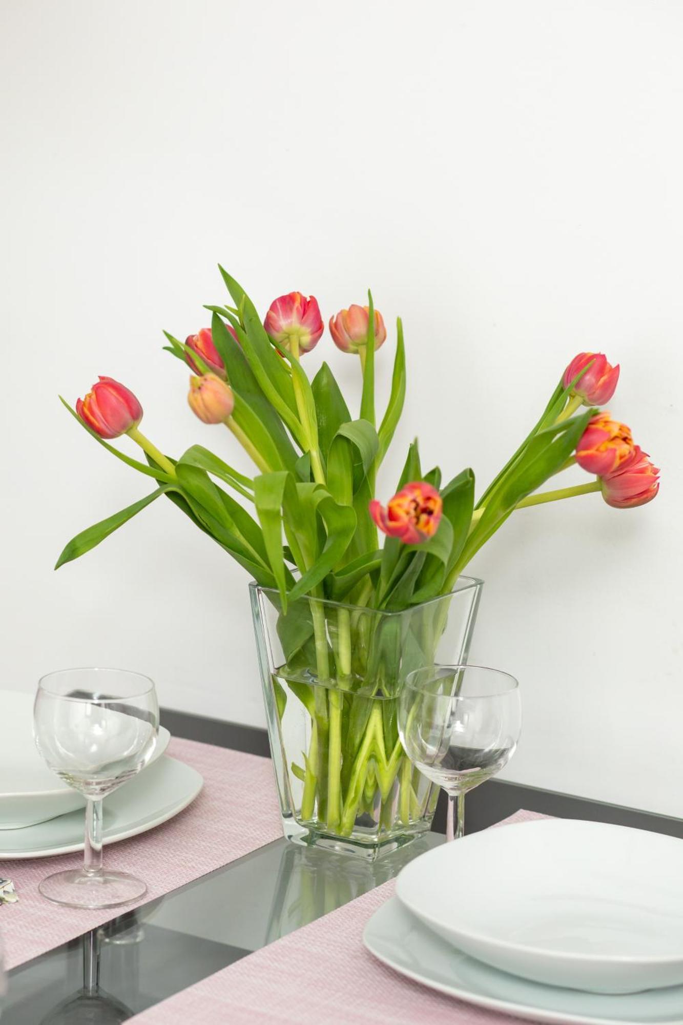 Apartamenty Perlowa Przystan By Noclegi Renters Kolobrzeg Dış mekan fotoğraf